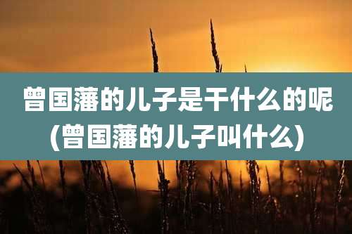 曾国藩的儿子是干什么的呢(曾国藩的儿子叫什么)