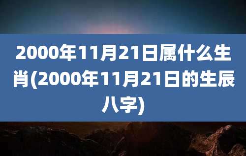 2000年11月21日属什么生肖(2000年11月21日的生辰八字)