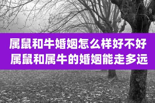 属鼠和牛婚姻怎么样好不好 属鼠和属牛的婚姻能走多远