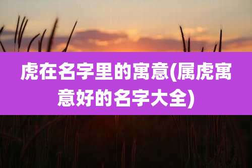 虎在名字里的寓意(属虎寓意好的名字大全)