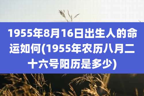 1955年8月16日出生人的命运如何(1955年农历八月二十六号阳历是多少)