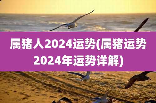 属猪人2024运势(属猪运势2024年运势详解)