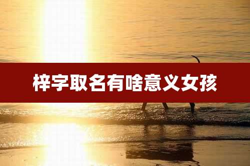 梓字取名有啥意义女孩