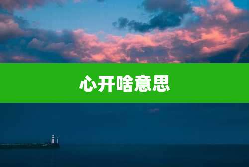 心开啥意思