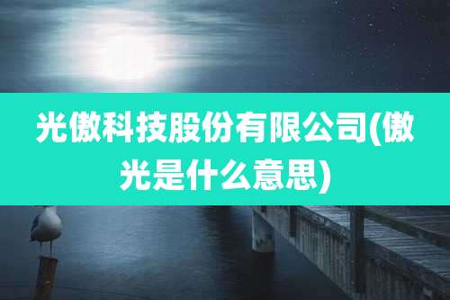 光傲科技股份有限公司(傲光是什么意思)