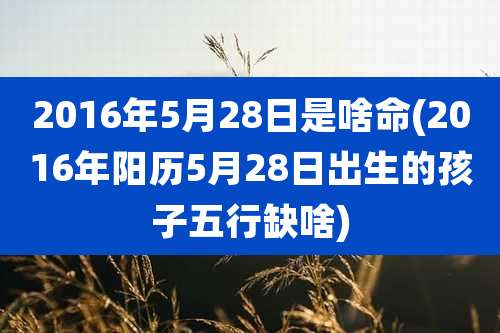 2016年5月28日是啥命(2016年阳历5月28日出生的孩子五行缺啥)