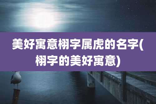 美好寓意栩字属虎的名字(栩字的美好寓意)