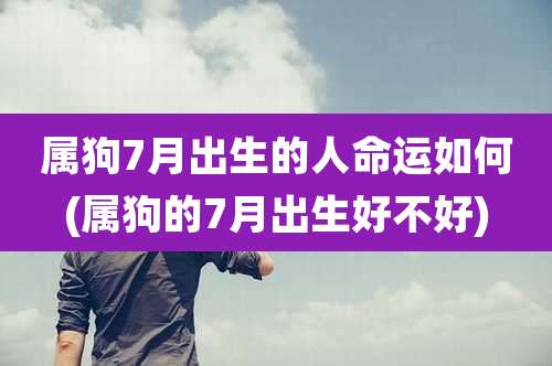 属狗7月出生的人命运如何(属狗的7月出生好不好)