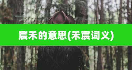 宸禾的意思(禾宸词义)