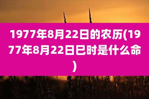 1977年8月22日的农历(1977年8月22日巳时是什么命)