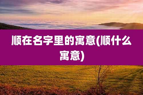 顺在名字里的寓意(顺什么寓意)