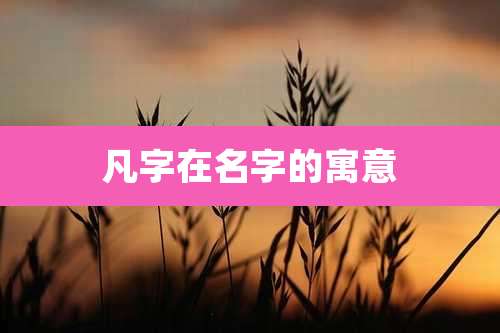 凡字在名字的寓意