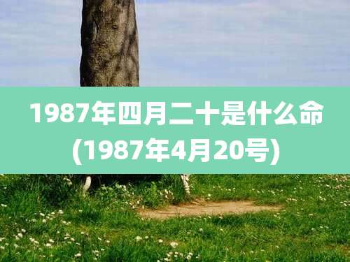 1987年四月二十是什么命(1987年4月20号)