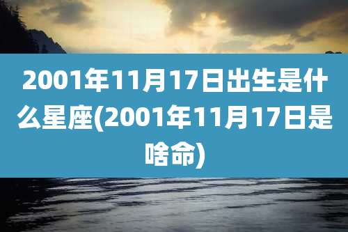 2001年11月17日出生是什么星座(2001年11月17日是啥命)