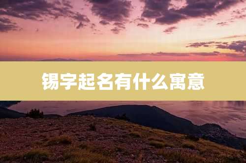 锡字起名有什么寓意