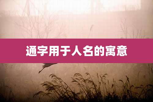 通字用于人名的寓意