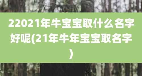 22021年牛宝宝取什么名字好呢(21年牛年宝宝取名字)