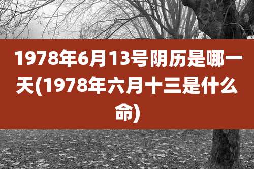 1978年6月13号阴历是哪一天(1978年六月十三是什么命)