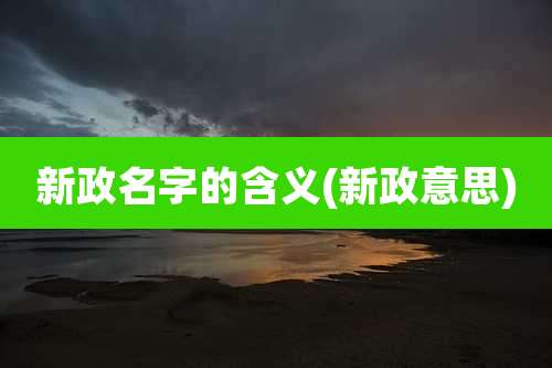 新政名字的含义(新政意思)