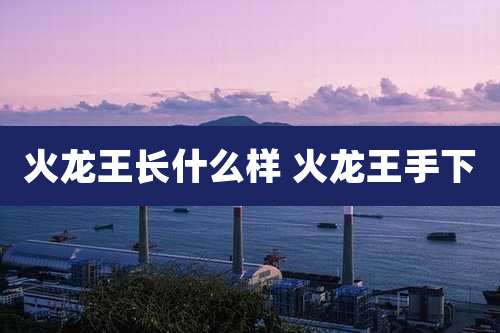 火龙王长什么样 火龙王手下