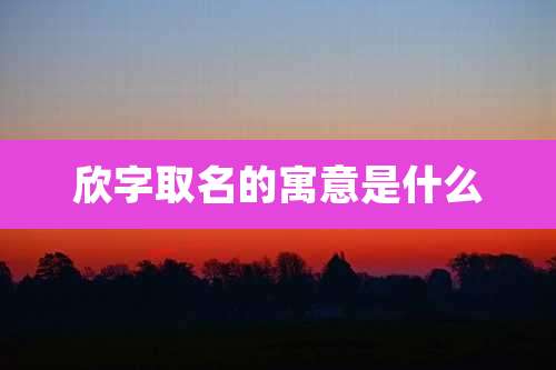 欣字取名的寓意是什么