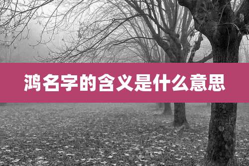 鸿名字的含义是什么意思