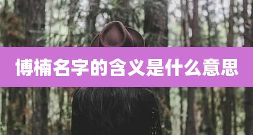 博楠名字的含义是什么意思