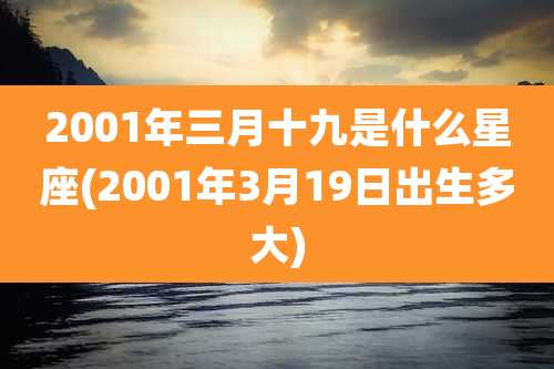 2001年三月十九是什么星座(2001年3月19日出生多大)