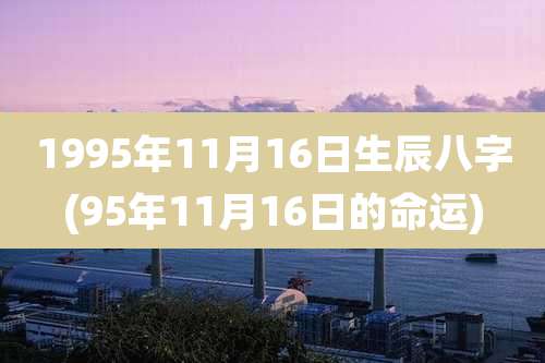 1995年11月16日生辰八字(95年11月16日的命运)