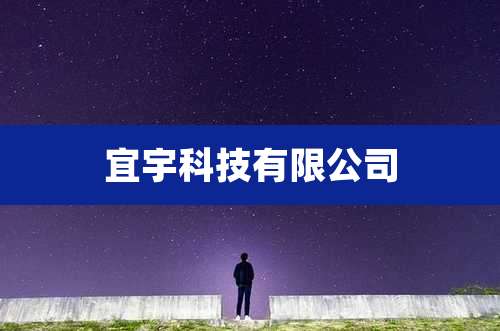 宜宇科技有限公司