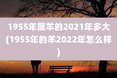 1955年属羊的2021年多大(1955年的羊2022年怎么样)