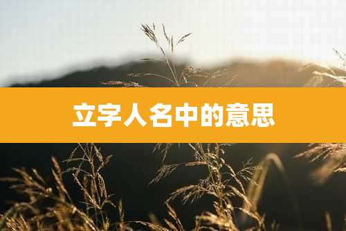 立字人名中的意思