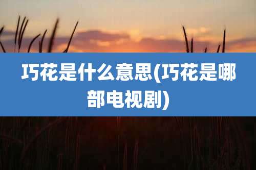 巧花是什么意思(巧花是哪部电视剧)