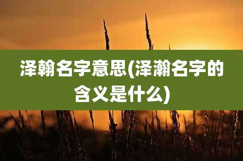 泽翰名字意思(泽瀚名字的含义是什么)