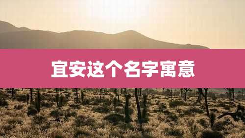 宜安这个名字寓意