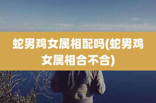 蛇男鸡女属相配吗(蛇男鸡女属相合不合)