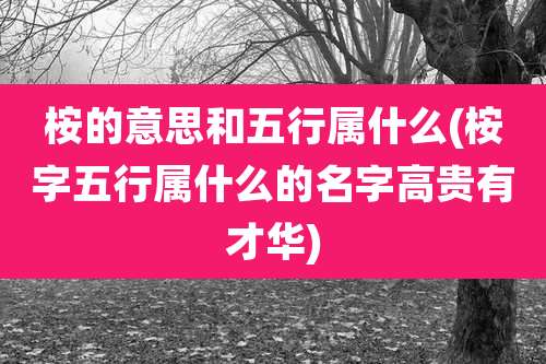 桉的意思和五行属什么(桉字五行属什么的名字高贵有才华)