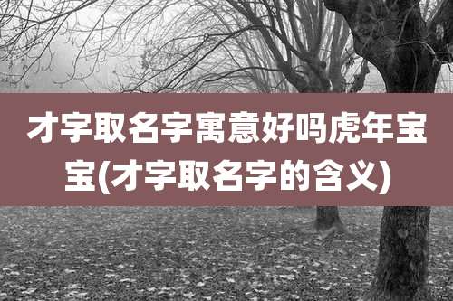 才字取名字寓意好吗虎年宝宝(才字取名字的含义)