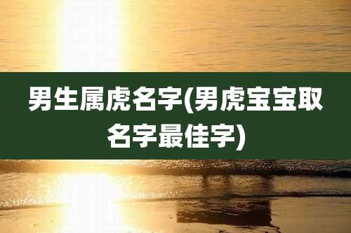 男生属虎名字(男虎宝宝取名字最佳字)