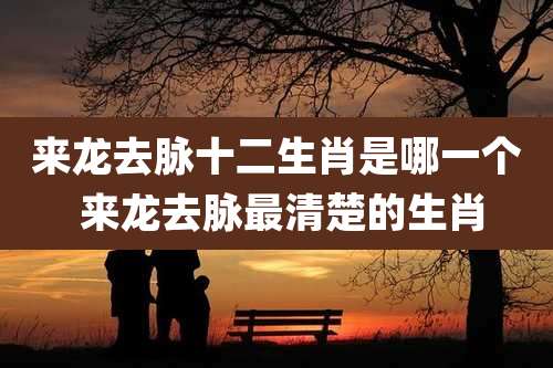 来龙去脉十二生肖是哪一个 来龙去脉最清楚的生肖