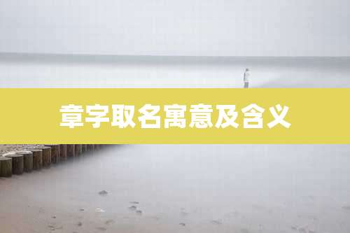 章字取名寓意及含义