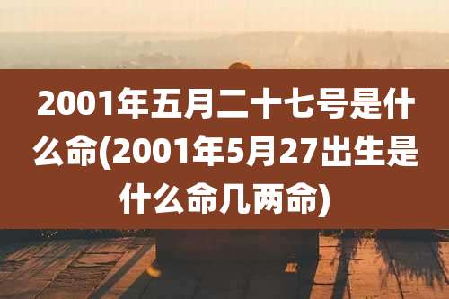 2001年五月二十七号是什么命(2001年5月27出生是什么命几两命)