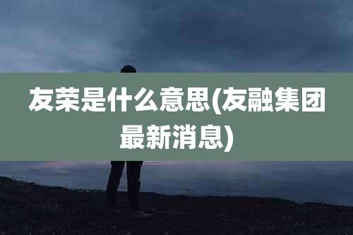 友荣是什么意思(友融集团最新消息)