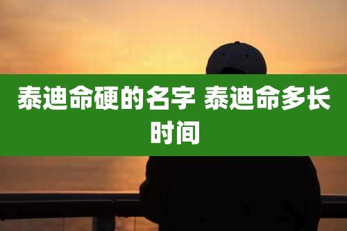 泰迪命硬的名字 泰迪命多长时间