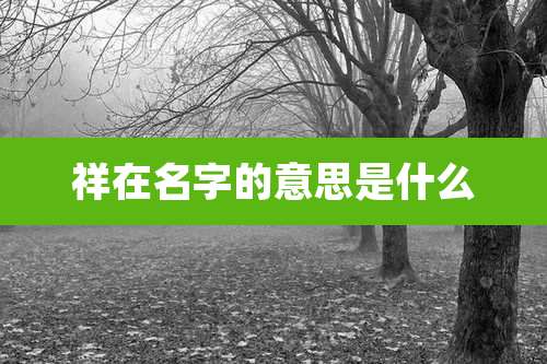 祥在名字的意思是什么