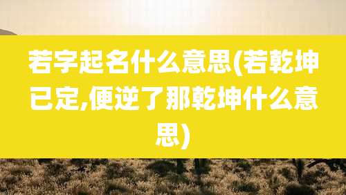 若字起名什么意思(若乾坤已定,便逆了那乾坤什么意思)