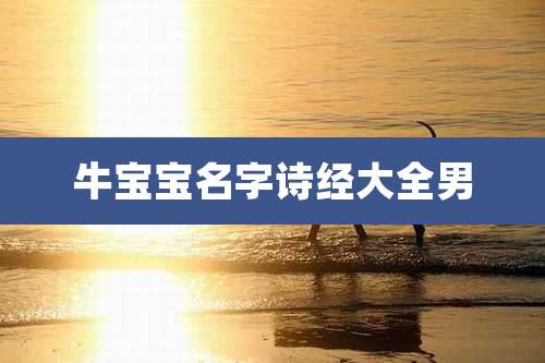 牛宝宝名字诗经大全男