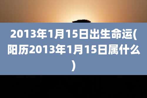 2013年1月15日出生命运(阳历2013年1月15日属什么)