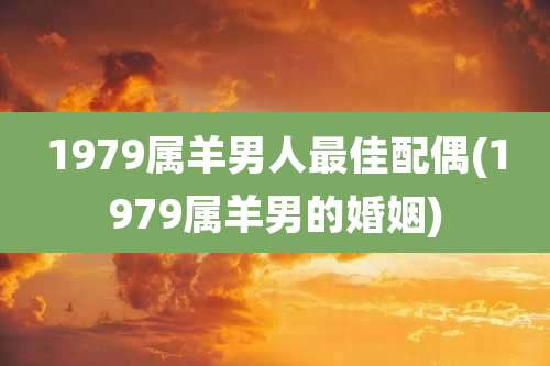 1979属羊男人最佳配偶(1979属羊男的婚姻)