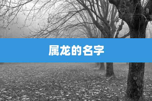 属龙的名字